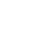 レポート